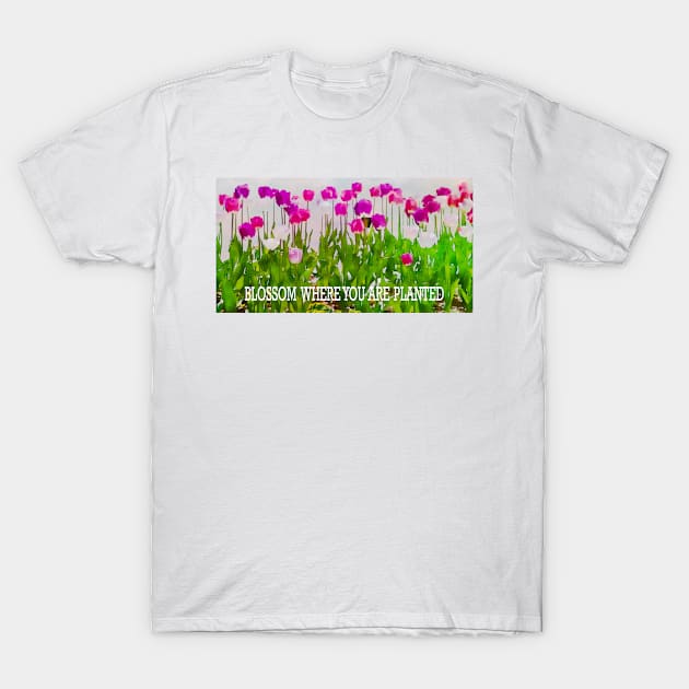 BLOSSOM WHERE YOU ARE PLANTED T-Shirt by andalaimaging